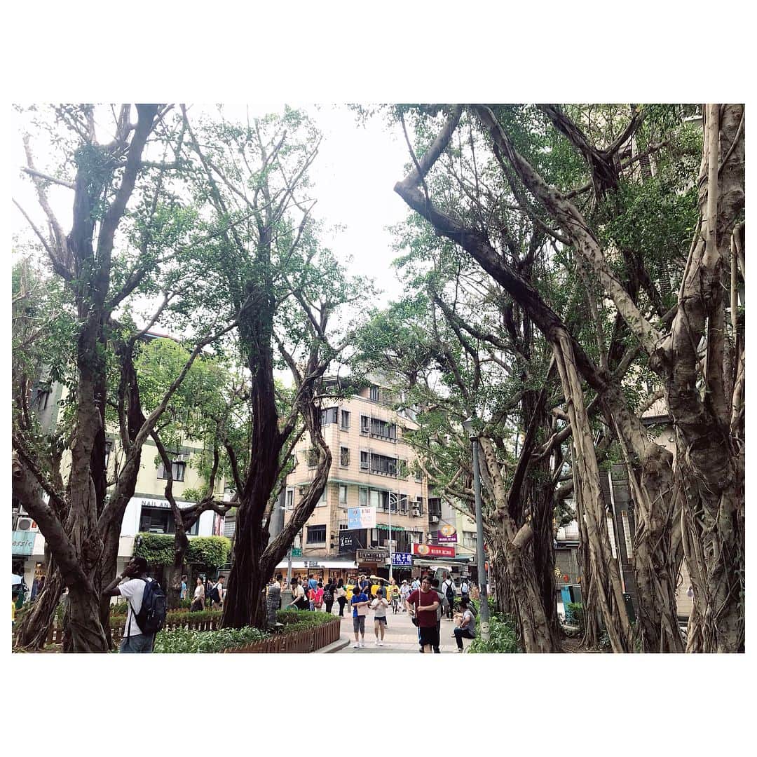 藤井美菜さんのインスタグラム写真 - (藤井美菜Instagram)「. 永康街、素敵なところでした。街の植物や、建物の雰囲気を見ているだけでも楽しい😽 永康街(융캉제), 너무 좋은 곳이였어요. 동내의 실물이나 건물 분위기를 보기만해도 재미있었죠~😽 #旅#旅行#여행#travel#観光#관광#sightseeing#台湾#대만#Taiwan#女子旅#旅スタグラム#永康街#융캉제」6月9日 18時06分 - fujii_mina_0715