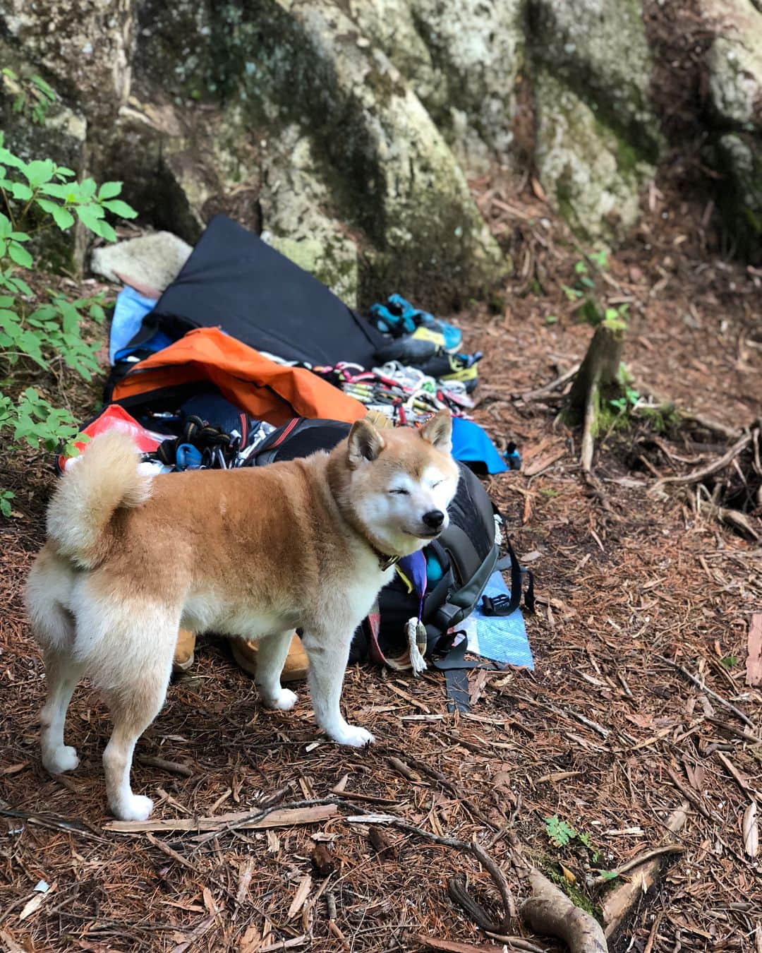 植田夢月のグルメインスタ