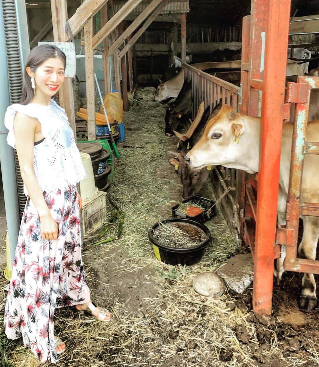 名越涼子さんのインスタグラム写真 - (名越涼子Instagram)「⁑ 🐄🐂🐃🐄🐂🐃 ぷらっと牛に会いたくなったら。 東京都内にある、近くて気軽に行ける 八王子の磯沼ミルクファーム。 搾乳されたミルク、ヨーグルト、アイスなどもいただけるから 産直の贅沢を味わいたいときにおすすめ。  放牧されているストレスフリーの牛から出るミルクは コクも甘さもバランスの良い美味しさ🥛  注目すべきは 牛をとっても大切に育てているんだなぁ、とわかるほど 綺麗にお手入れされているところ。 どの牛も毛並みが美しくって とってモ〜 可愛らしいキラキラお目め👀 見つめられると可愛らしさと顔面力に圧倒されること 間違いなし。 ⁑ ⁑ ⁑  #牧場#牧場しぼり#farm#farmer#牧場ミルク#ミルク#milk#牛乳#農業#酪農#牛#🐄#🐂#搾乳#搾りたて#産直#farmgirl#cow#cowgirl#tasty#good#delicious#special_shots#special#webstagram#pretty#cute#可愛い#kawaii」7月8日 20時59分 - nagoshi_ryo