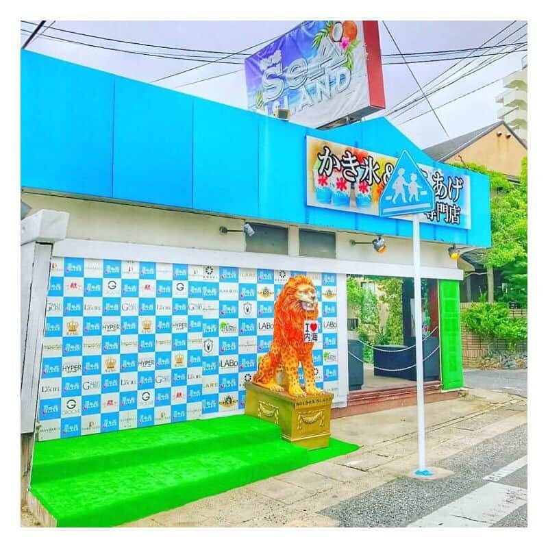 DJ NANAさんのインスタグラム写真 - (DJ NANAInstagram)「. . 今年も愛知県内海海水浴場の 【 SeA ISLAND 】でたまーにお仕事してます🤟✨ . 去年から引き続き取り上げていただいてる 内海の羽の絵にプラスして 今年はレインボーの壁も描きました✨ . NANAプロデュースのフードと ドリンクもあるのでこの壁の前で 写真撮ってもらえると映えです😁⛱ . 内海に行くときは是非‼️ SeA ISLANDにあそびにきてね🎶 . #DjNANA #DJ #girlDJ #nagoya #名古屋 #japan #日本 #music #club #クラブ #femaleDJ #ナナパ #SPEED #BEST_DRIVE #NANA_BEST #釣りガール #30daysquatchallenge」7月8日 22時52分 - dj_nana092