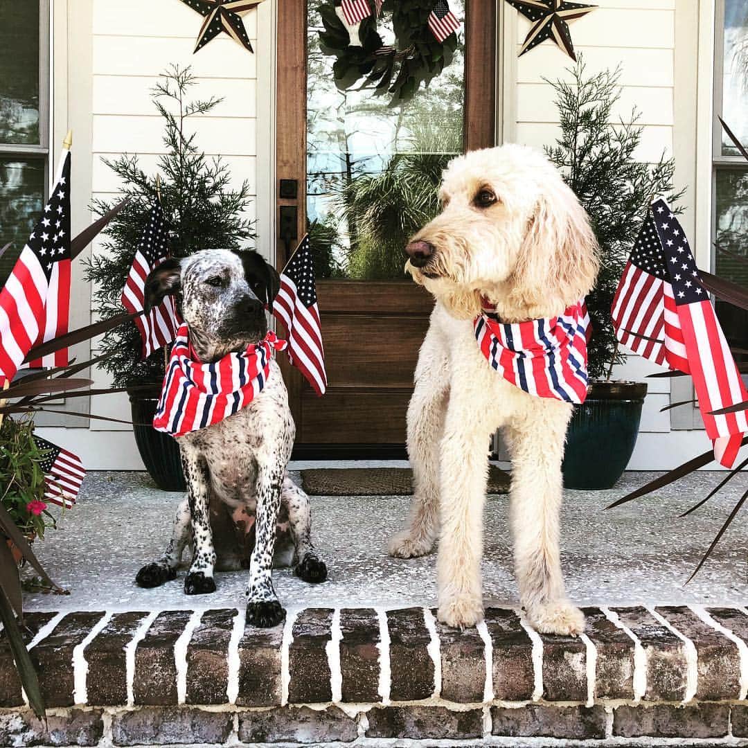 リック・ヤンシーのインスタグラム：「Happy 4th of July-from Max and his niece, Tilly.」
