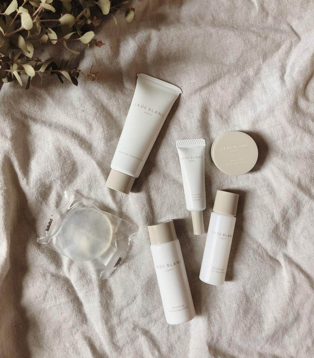 菅谷梨沙子さんのインスタグラム写真 - (菅谷梨沙子Instagram)「recommended skin care products ꎺ  使い始めてから肌のハリとキメが整って安定してきたように感じます。 LINE blogにも使った感じを書いているので、良かったら見てみて下さい📄 ジェイドブランのURLはストーリーに上げています✦ . . #jadeblanc#organic#skincare」7月5日 12時34分 - risako_sugaya