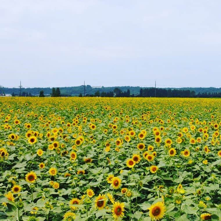 石川県ふるさとワーキングホリデー金沢能登加賀ワーホリいしかわのインスタグラム