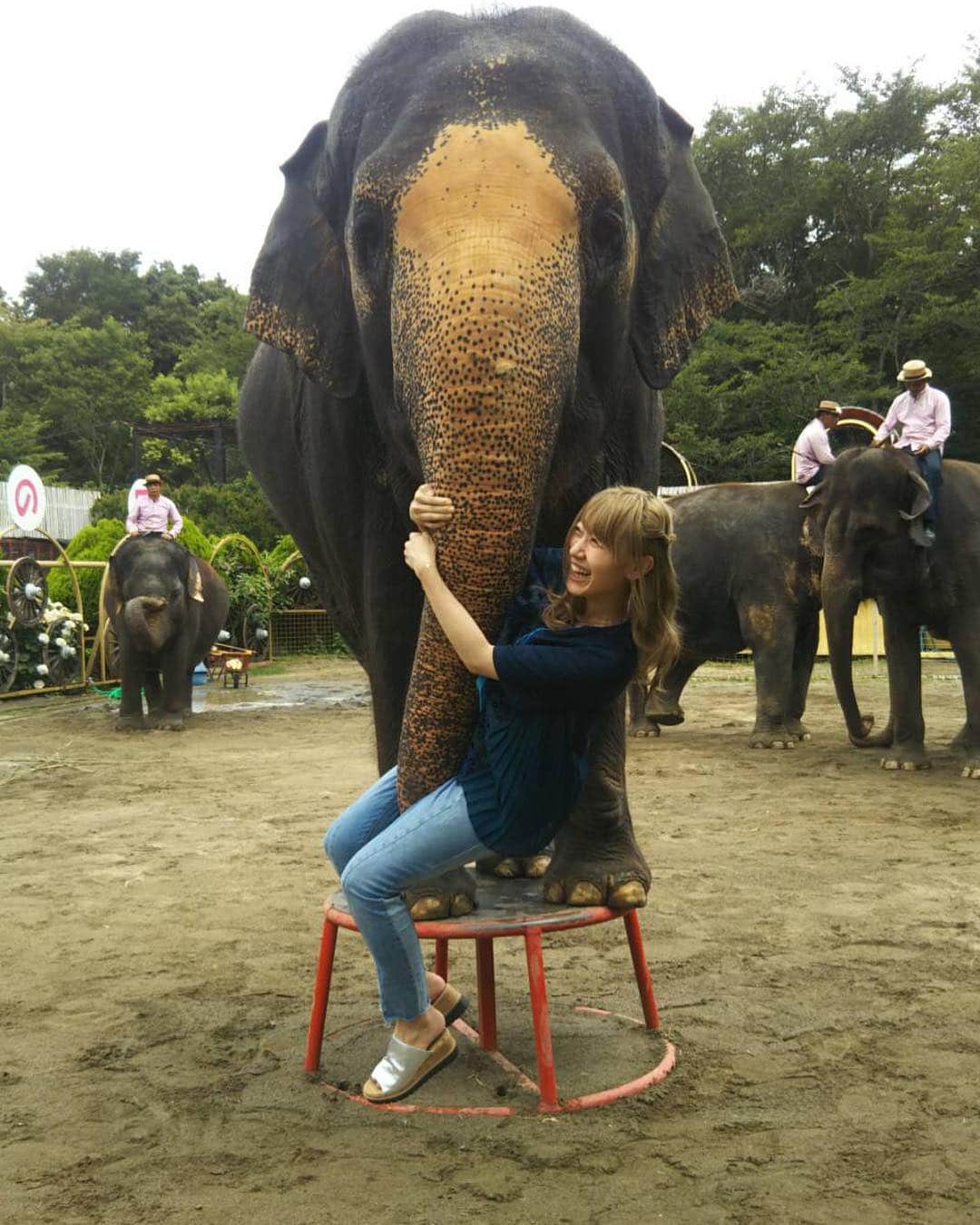 ホームランなみちのグルメインスタ