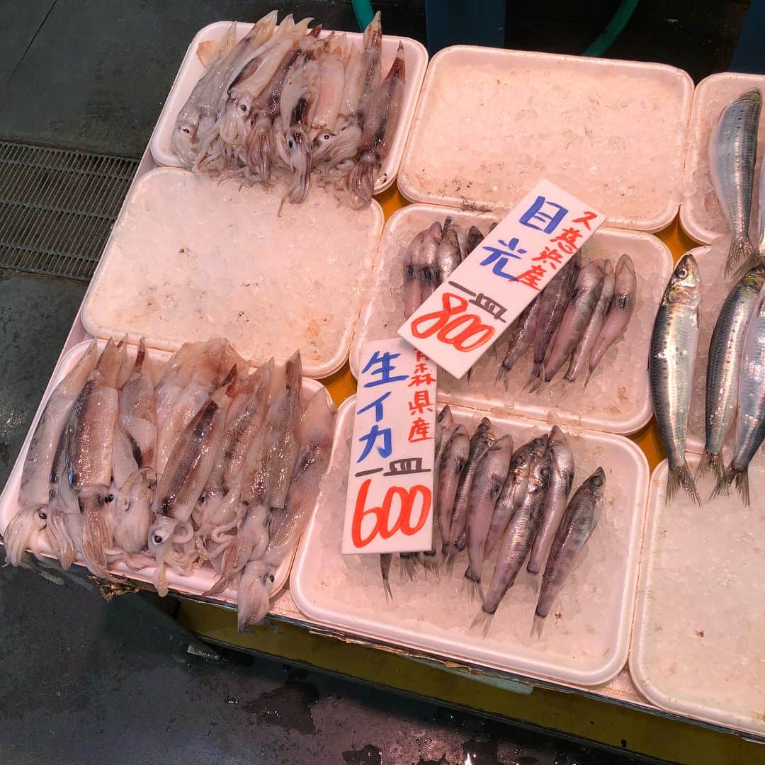 落合隼亮さんのインスタグラム写真 - (落合隼亮Instagram)「値段がクレイジー過ぎるだろ Crazy cheap  #久慈浜 #一皿に乗ってる #イカ  #大量 #鯖 #一人暮らしには多い #fish #squid #insaneamountoffood」7月6日 20時00分 - ottieshun