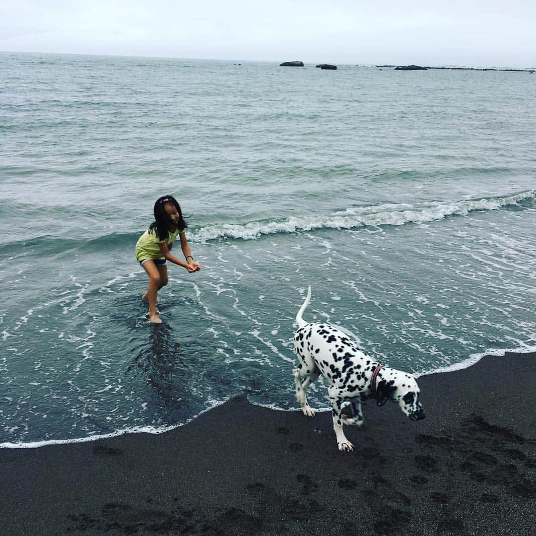 高岡早紀 さんのインスタグラム写真 - (高岡早紀 Instagram)「海、大好き。 #dalmatian」7月6日 21時19分 - saki_takaoka