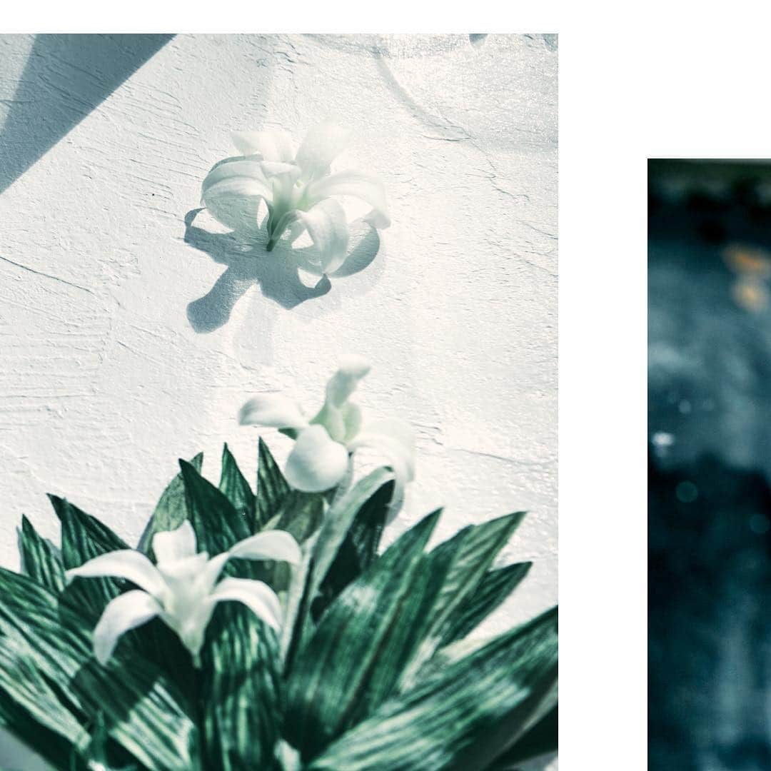 FULLERY BOTANICAL（フレリーボタニカル）さんのインスタグラム写真 - (FULLERY BOTANICAL（フレリーボタニカル）Instagram)「Softener No_00 "citrus & tiare flower" -Summer limited edition- ⠀⠀ Visual Identity. ⠀⠀ ▫︎▪︎▫︎ ▫︎▫︎▫︎ ▫︎▫︎▫︎ ⠀⠀ #FULLERY #BOTANICAL #fullerybotanical #フレリー #フレリーボタニカル #ボタニカル柔軟剤 @fullery_botanical」7月6日 19時05分 - fullery_botanical