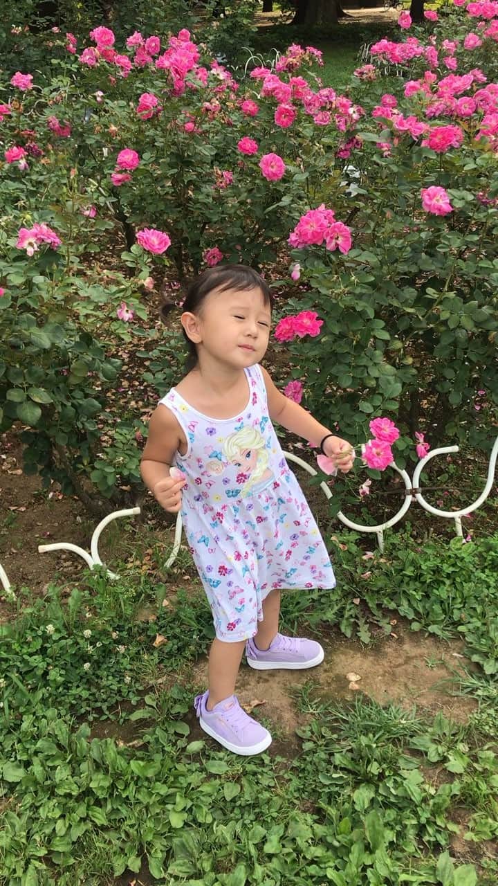 橋本麗香のインスタグラム：「きゃーちゃん シリーズ💖」