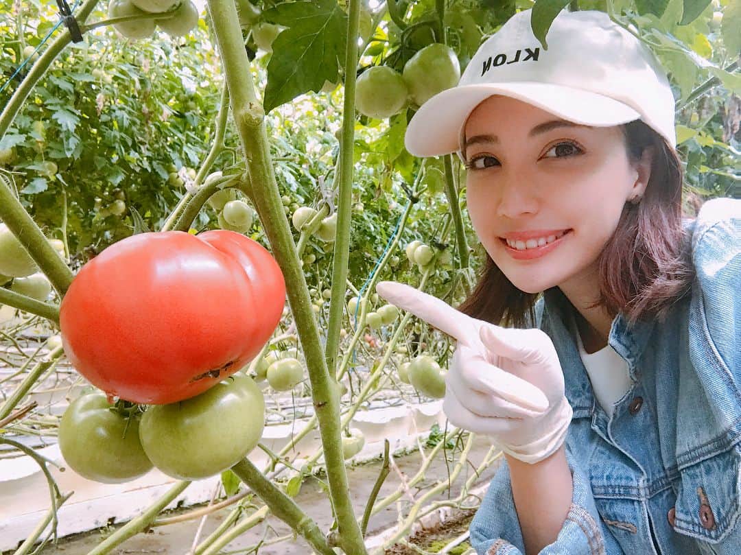 眞木美咲パメラのインスタグラム