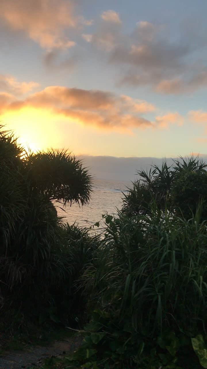 橋本麗香のインスタグラム：「My favorite place 🙏🏻」
