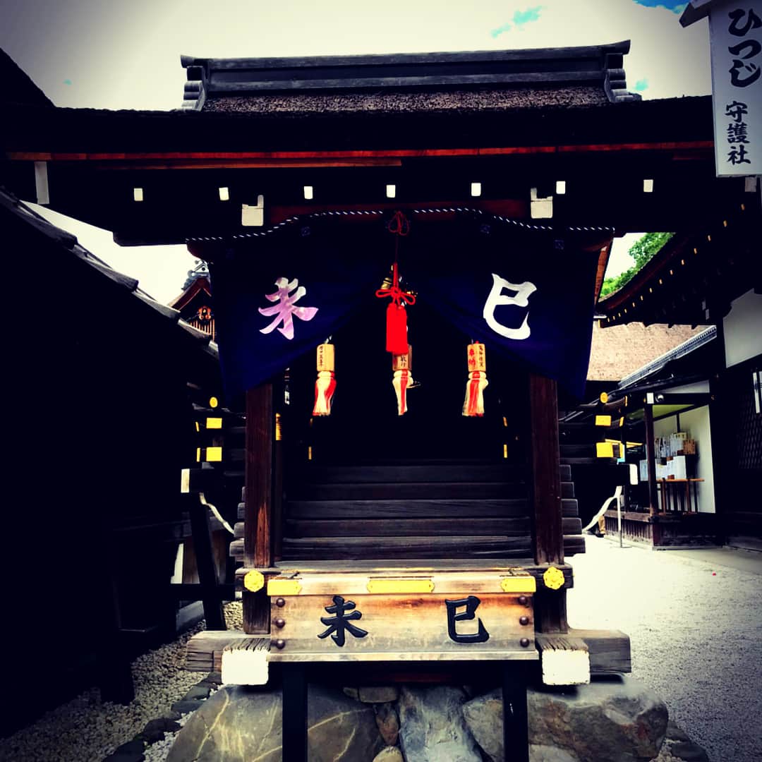 逹瑯さんのインスタグラム写真 - (逹瑯Instagram)「楽しかった！  来年も行きたい京都大作戦！」7月8日 19時39分 - tatsuro_twitter