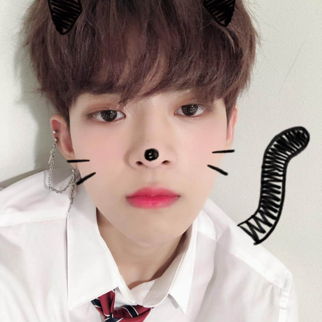 Victonさんのインスタグラム写真 - (VictonInstagram)「[#수빈] 🐈」7月8日 11時14分 - victon1109