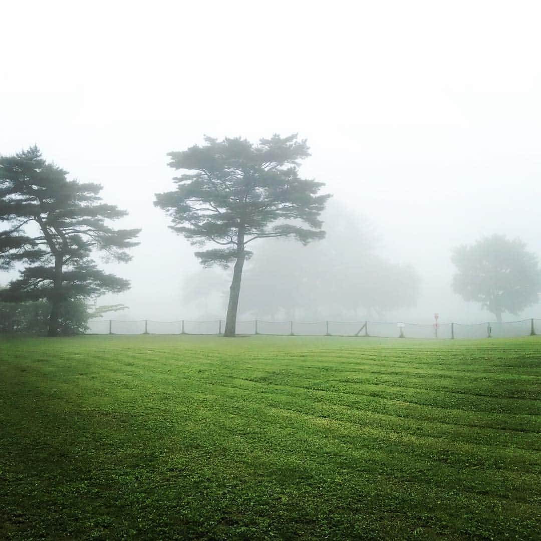 坂本奈津美のインスタグラム：「水分たっぷりの冷たい空気が気持ち良い。ふかーく深呼吸。#霧雨 #軽井沢」