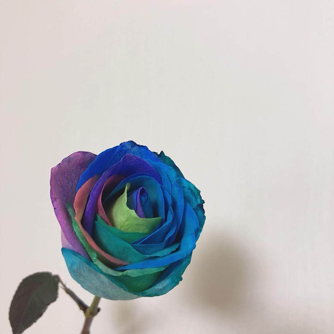 吉川愛さんのインスタグラム写真 - (吉川愛Instagram)「☺︎ new🥀」6月15日 20時04分 - ai_yoshikawa_official