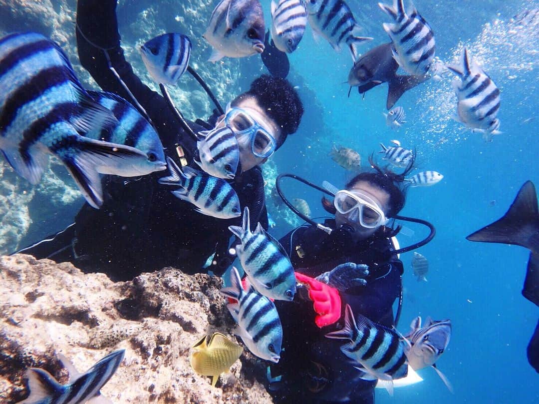 Julia Castroさんのインスタグラム写真 - (Julia CastroInstagram)「最高な体験をしてきました🐠 海の中は本当にマーメードの世界だった…自然の美しさを感じられた🌊 ダイビング最高🌎 * #JULIDY #julidyalbum #diving #date #okinawa #japan #trip #travel #blue #ocean #photography  #couple #relationship #ダイビング #沖縄 #青の洞窟 #沖縄旅行 #写真 #カップル #青 #海 #熱帯魚 #魚」6月15日 23時19分 - julia.c.0209