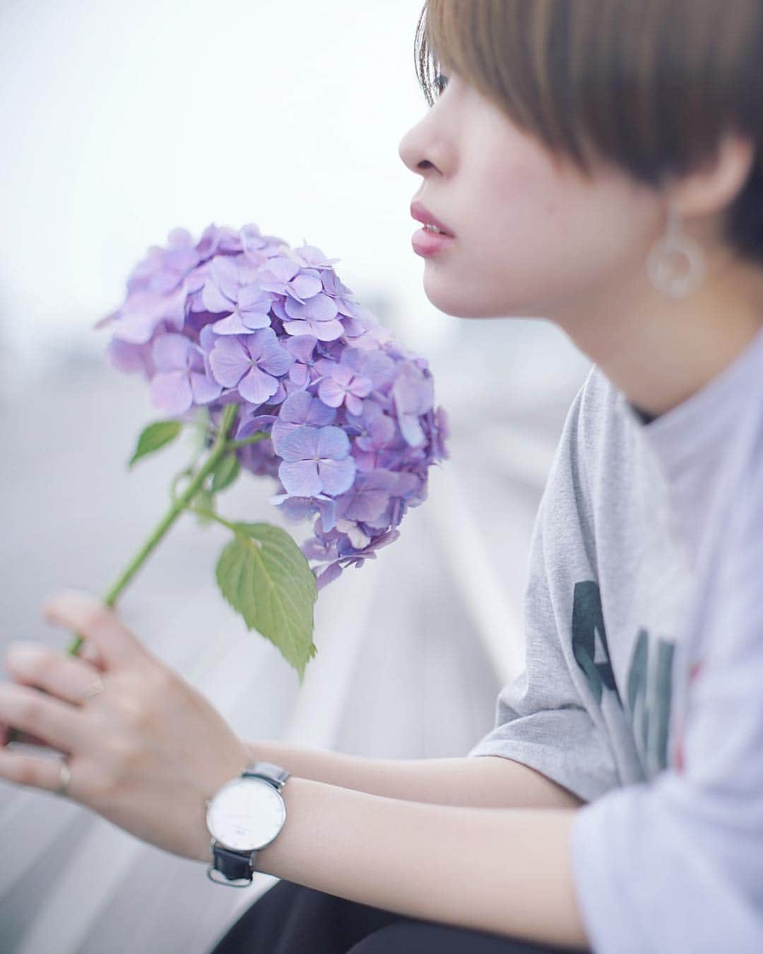 masa_sunのインスタグラム：「💠 . . . . . 海にいきたいなぁ🏖 #hydrangea #アジサイ #フィルム写真で繋がりたい  #カメラ好きな人と繋がりたい #ファインダー越しの私の世界 #写真好きな人と繋がりたい #写真撮ってる人と繋がりたい #お洒落さんと繋がりたい #土曜日の小旅行 #オールドレンズに恋をした . #team_jp_ザ花部ミリオン祭り #ザ花部 #danielwellington 干物かいに笑」