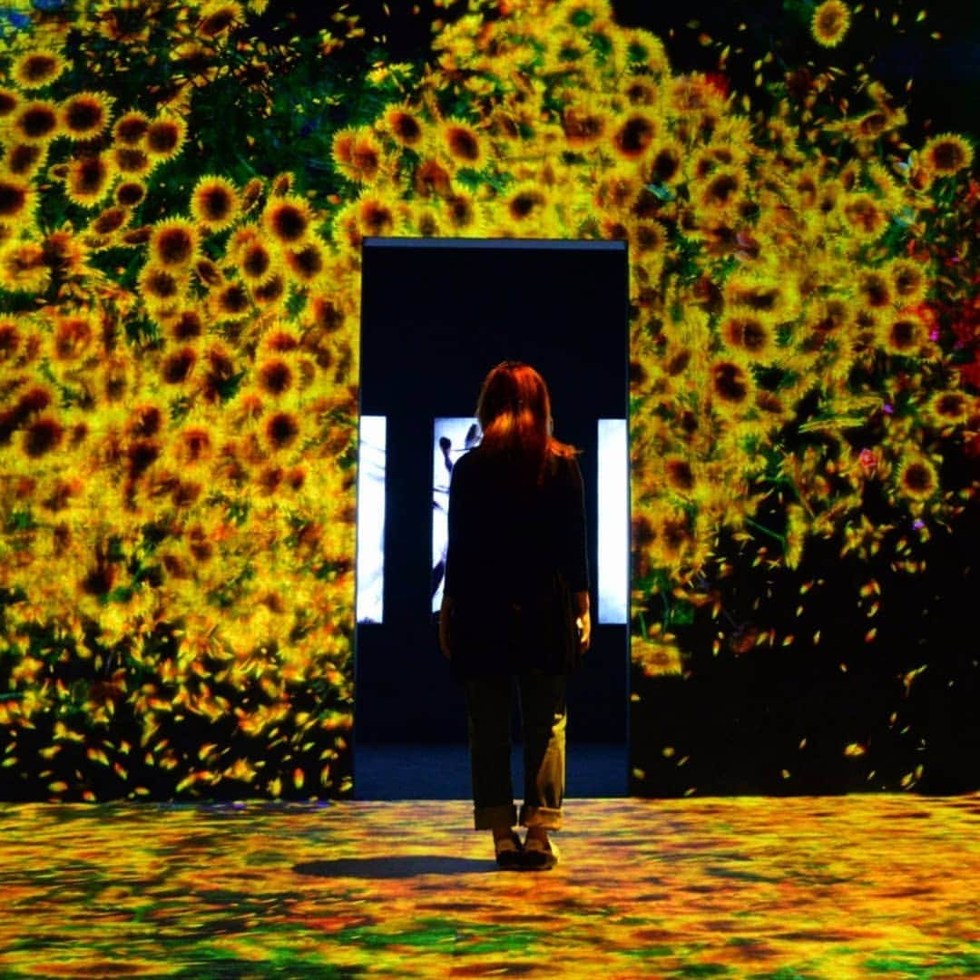 kazumaさんのインスタグラム写真 - (kazumaInstagram)「.. Digital Art 6月21日にお台場パレットタウンにオープンするMORI Building DIGITAL ART MUSEUM: EPSON teamLab Borderlessの特別先行内覧会にご紹介され、行ってきました。 . 東京レジャーランドの跡地で、チームラボのアート作品を存分に楽しめるスポット。 光と音の織りなす世界とミラーかもたらす広がりにより、敷地面積以上の広さとその世界観に没入できるつくりが良かったな。 . 館内すべてインスタ映えで 写真撮りたい！と思える施設。 荷物預けられるロッカーが完備されてるのはポイント高し！！ . . . 会場出たとこのウェンディーズには猪子さんもいらっしゃった。 アートよりも興奮してたかもw . . . #teamlabborderless  #チームラボボーダレス #チームラボ  #インスタ映え . . . . . . . . . . ————————————————— #igersjp #team_jp_ #instagramjapan #icu_japan #ink361_asia  #instadaily #igrecommend  #lovers_nippon #picture_to_keep #FreedomThinkers #jp_gallery_member #東京カメラ部 #tokyocameraclub #indies_gram #reco_ig #instagood #huntgram  #huntgramjapan #japan_night_view #art_of_japan_ #ig_photooftheday #ファインダー越しの私の世界 #カメラ好きな人と繋がりたい ————————————————— . . . . . . .. ...」6月16日 9時29分 - kazuma612