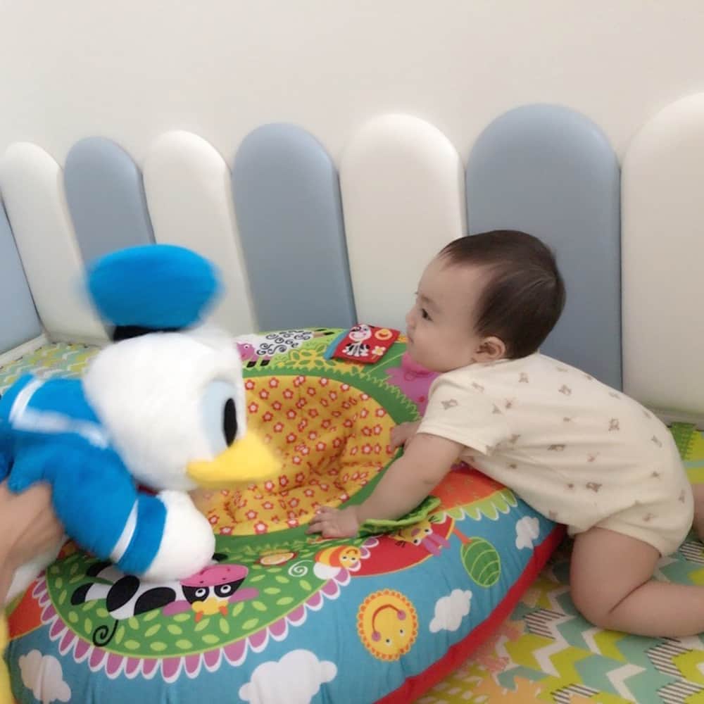 アレクサンダーさんのインスタグラム写真 アレクサンダーinstagram おちびーぬの遊びスペース グレードアップ完了 壁にクッションつけたのさ エッヘン 頭ごっちん 予防に 赤ちゃん Disneyland Donaldduck 6月16日 12時52分 Alexanderfriends