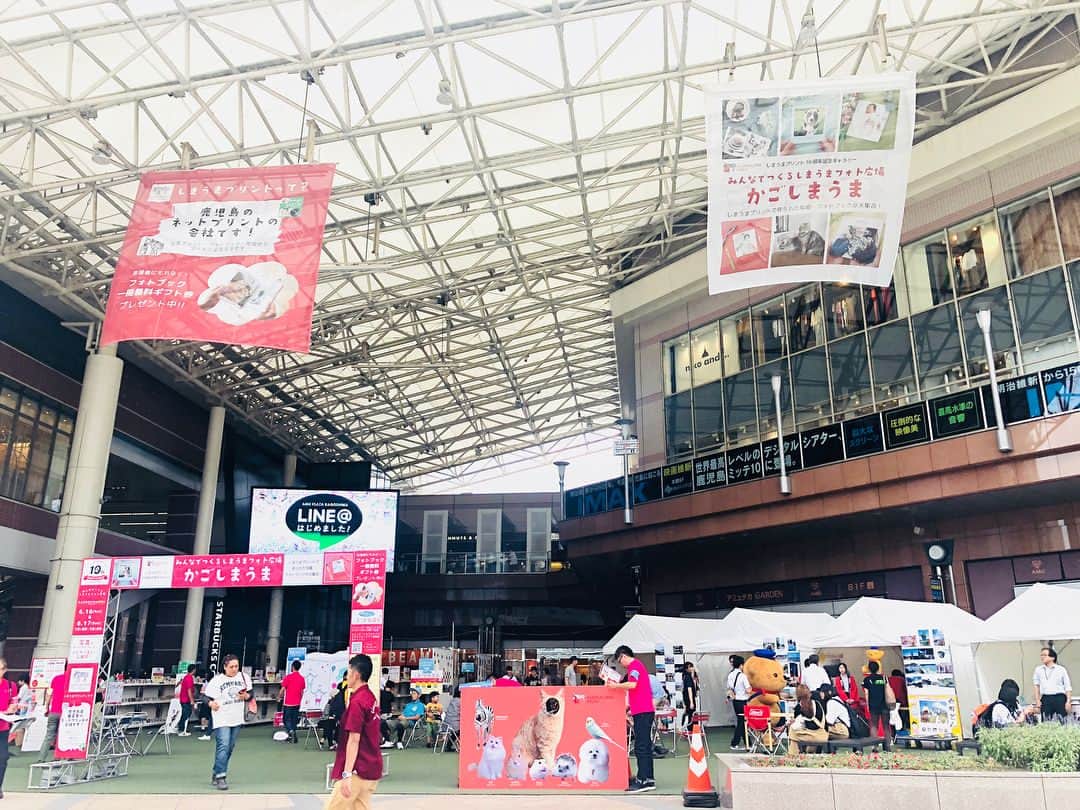 しまうまプリント【公式】フォトブック無料企画開催中のグルメインスタ