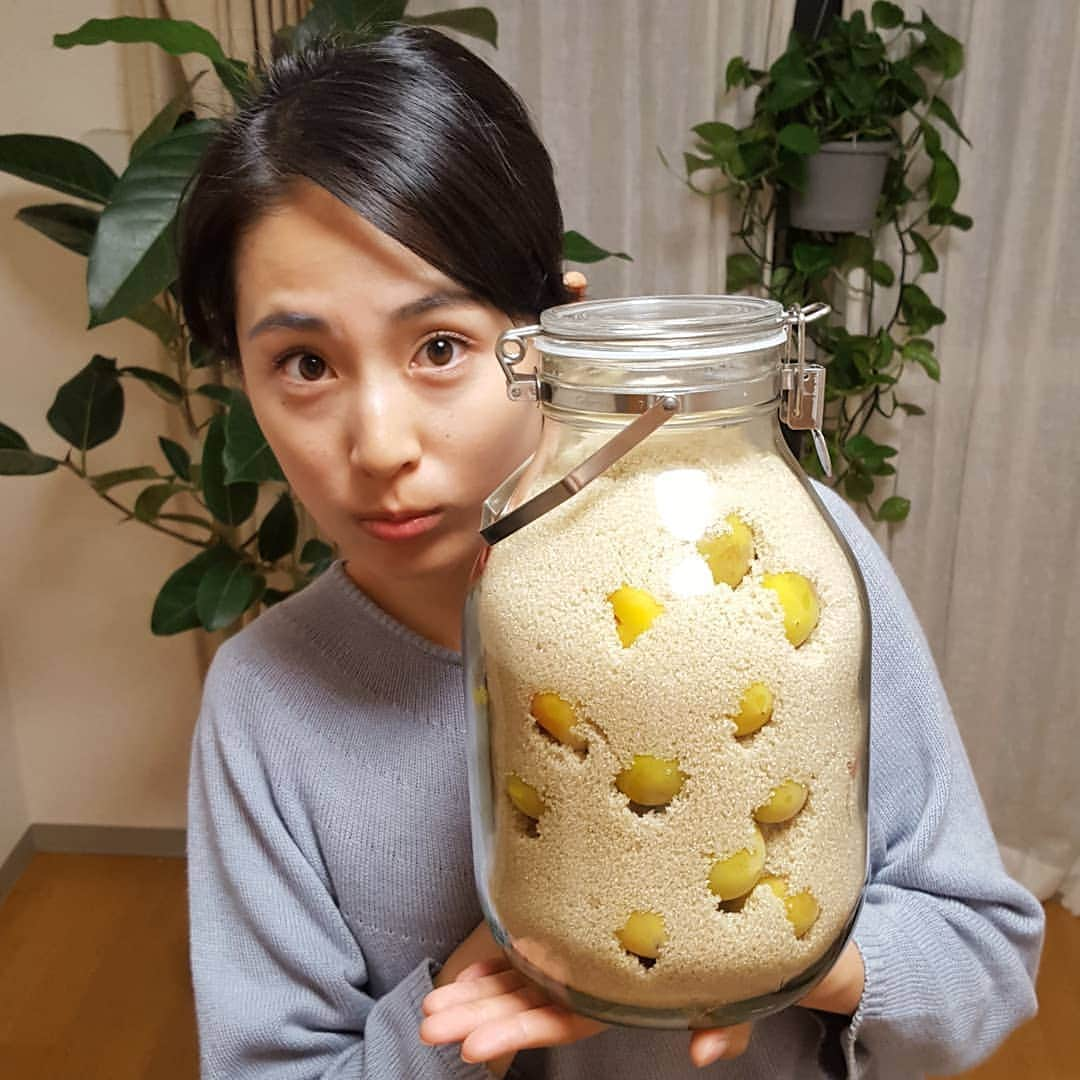 本仮屋リイナさんのインスタグラム写真 - (本仮屋リイナInstagram)「人生で一番楽しい瞬間✨ 今年初の梅仕事です！！ 10年くらい毎年梅ジャムを作ってましたが、今年は初めて梅シロップに挑戦します！ジャムに比べて梅の酵素をたくさん摂れると聞いて☺ そして、たくさん寝かせると、砂糖の害が減るそうなので、一生懸命待ちます😊  50%offで手に入れた無農薬梅... 美味しくできますように✨  人生で一番好きな梅仕事なのに、 50%offの梅。  #主婦 #梅仕事  #梅シロップ #きび糖 で #梅雨の過ごし方 #ひょっこりはん 風 #organic #macrobiotic #veggy公式アンバサダー」6月16日 20時19分 - riina_motokariya