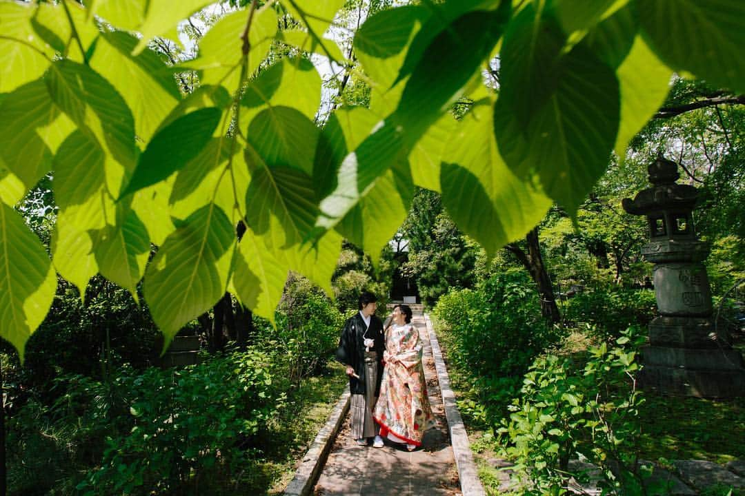 C PhotoGraphicさんのインスタグラム写真 - (C PhotoGraphicInstagram)「Wedding Photography, For Life Cphotographicの新たな挑戦が着々と進行中です by Kino ・ ・ #お気に入りのシーン ・ #玉川神社#神前式 #神社挙式 #結婚式#オリジナルウエディング#和婚 #和婚式 #色打掛#東京ウェディング#関東ウェディング#和婚花嫁 #和婚花嫁さんと繋がりたい #オーダーメイドウェディング #japanweddingphotographer#japanwedding #花嫁#結婚準備#プレ花嫁 #和婚ヘア #ウエディングカメラマン#ウェディングフォトグラファー#2018秋婚 #2018冬婚#2019春婚」6月16日 21時42分 - cphotographic