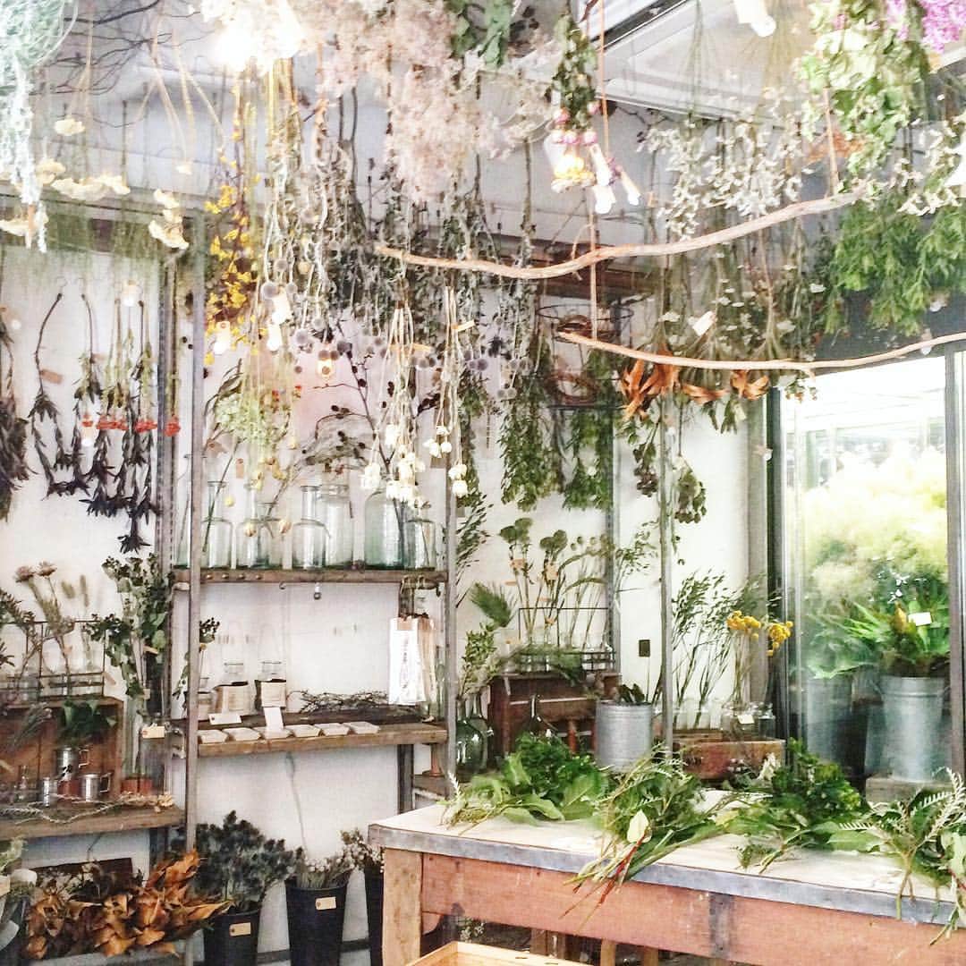 いなざうるす屋さんのインスタグラム写真 いなざうるす屋instagram 楽園に到着 さぁ