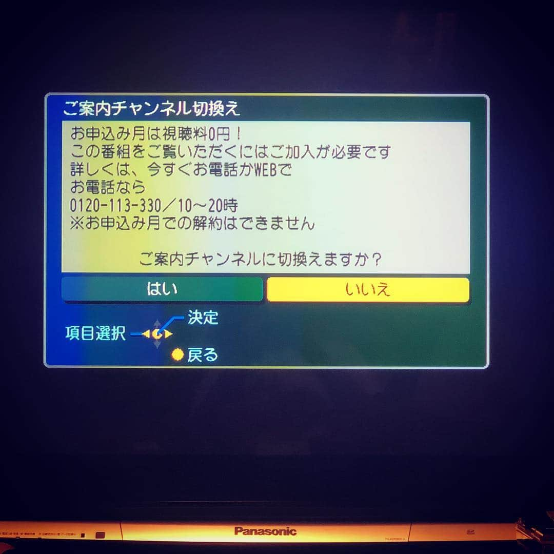 高橋茂雄さんのインスタグラム写真 - (高橋茂雄Instagram)「4時にこれ絶対ゆうてくるよね！君、、、」6月17日 4時01分 - shigeo0128