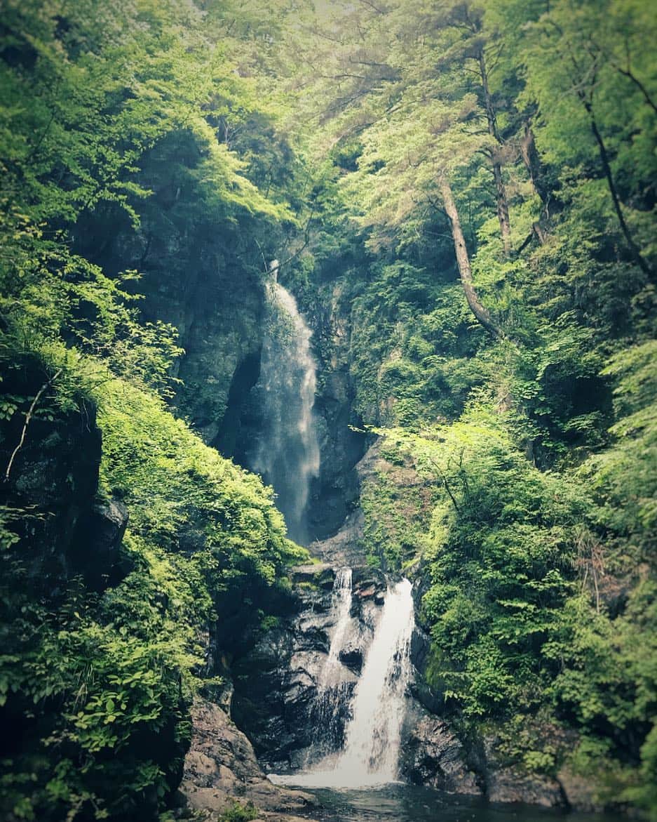 井俣太良のインスタグラム：「雨上がりで辿り着くまでの道のり険しく、 だがしかし、良き［冒険］出来た、板敷峡谷✨  ずっとずっと、見下ろされていて、こちらは只々圧倒されて見上げることしか出来ない。 自然はふてぶてしくも神々しい。 ひねり潰されないように必死で立ってました。  休日で土曜日なのに、 すれ違う人はたった数組。 駐車場から徒歩20分〜30分くらいで行ける。道のりはアップダウン多く、滑りやすい場所もあり少し大変。でも、そこが楽しかったし、いい思い出に✨  #昇仙峡 #板敷渓谷 #パワースポット」