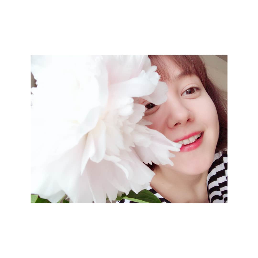 トリンドル玲奈さんのインスタグラム写真 - (トリンドル玲奈Instagram)「そういえばお花、こんなに綺麗に咲いたんです! 記念撮影📸😆」6月17日 21時11分 - toritori0123