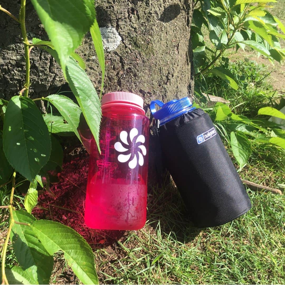 CRATE.JAPANのインスタグラム：「暑い日もナルゲン。 広口ボトルは氷もたっぷり入る ヽ(*´▽)ノ♪ . 何かと使える便利な『nalgene』 店頭ではNewColorも揃えております。CRATEに見に遊びに来てくださいねヽ(*´▽)ノ♪ . #ナルゲン#nalgenebottle#nalgene#ピクニック#キャンプ#outdoor#ボトル#水筒#野遊び#外遊び#自然#camping#暑い#初夏#tritan#枚方crate#lifeisgood」