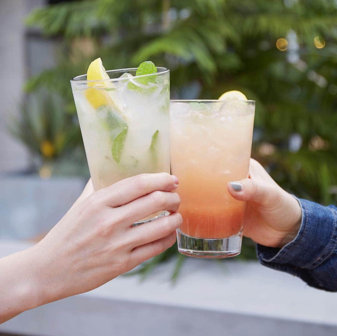 ルミネ公式のインスタグラム：「MONDAY LEMONADE!  毎週月曜日はレモネードの日！ 毎週月曜日はピッツァ1枚お買い上げでレモネード1杯プレゼント！800°DEGREESのピッツァはボトムが薄めの生地なので、お一人でもペロリといけますよ！月曜日はみんなでピッツァランチを！・ ※店舗オープンから17時まで実施中！ #800degrees #800degreespizza #pizza #ピザ #レモネード #newoman #新宿 #南青山」