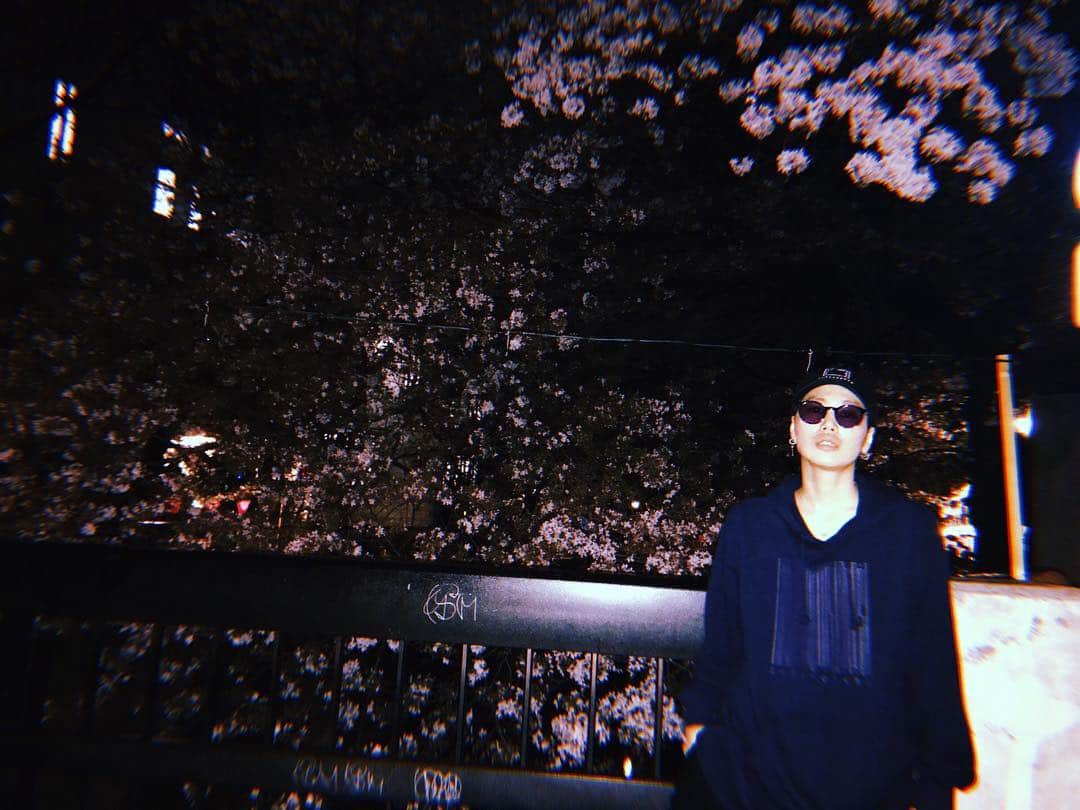 ZYUN.のインスタグラム：「雨の夜は何故か桜を見たくなる。  来年の桜も同じ空の下一緒に見ような！  #sakura #cherryblossom #japan #prayforyou #lovest #f4f」