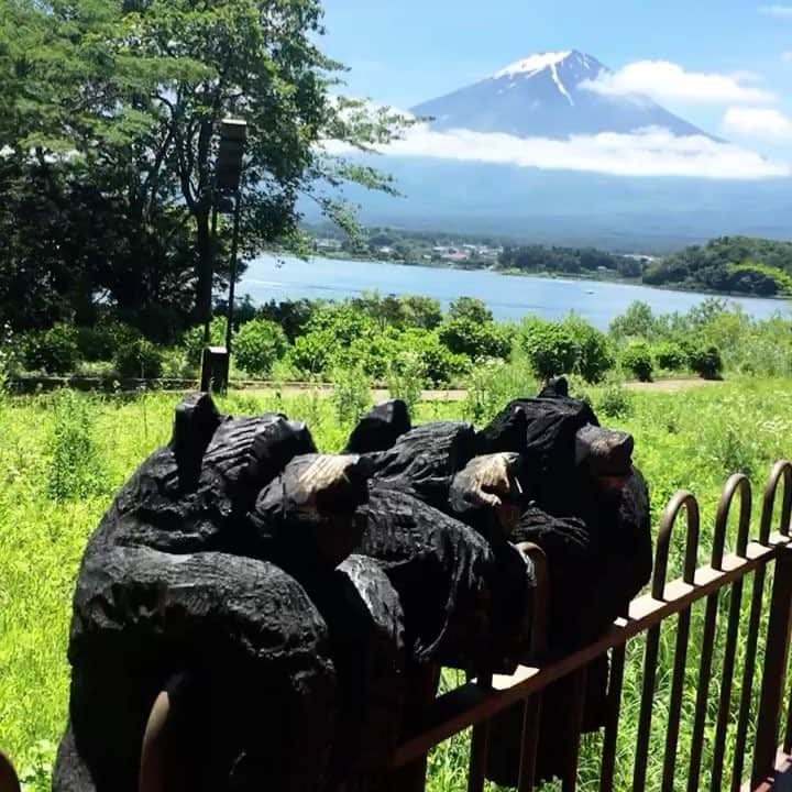 野澤美仁のグルメインスタ