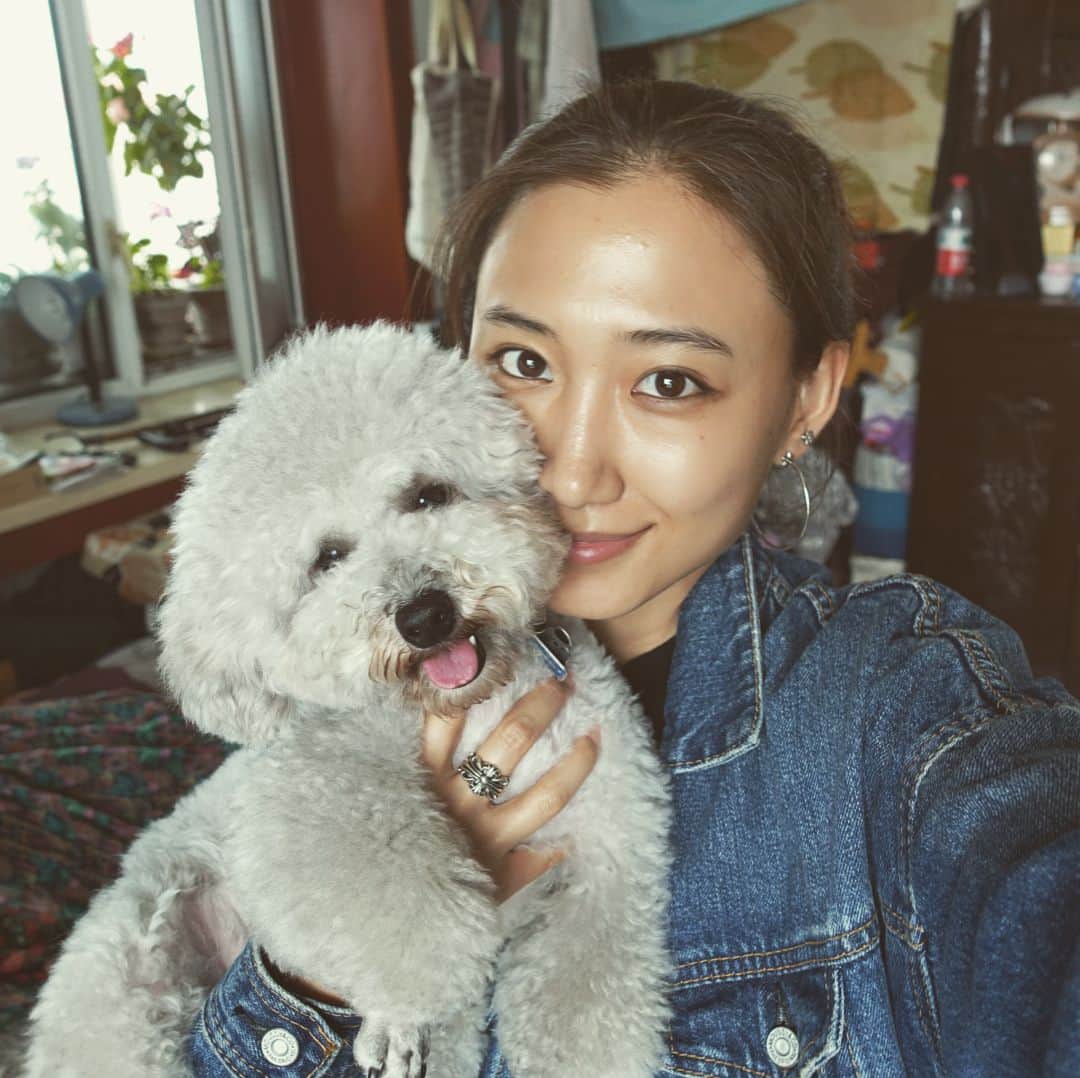 白雪のインスタグラム：「We are here!🇨🇳🐶 #harbin #hometown #dogstagram #dogs #china」