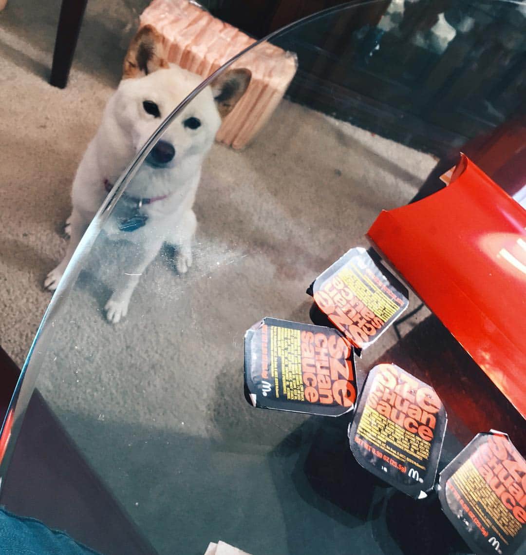 Tofu The Shibaのインスタグラム：「A 10 piece nuggets and a bunch of that szechuan sauce. Like as much as you’re able to give me.」