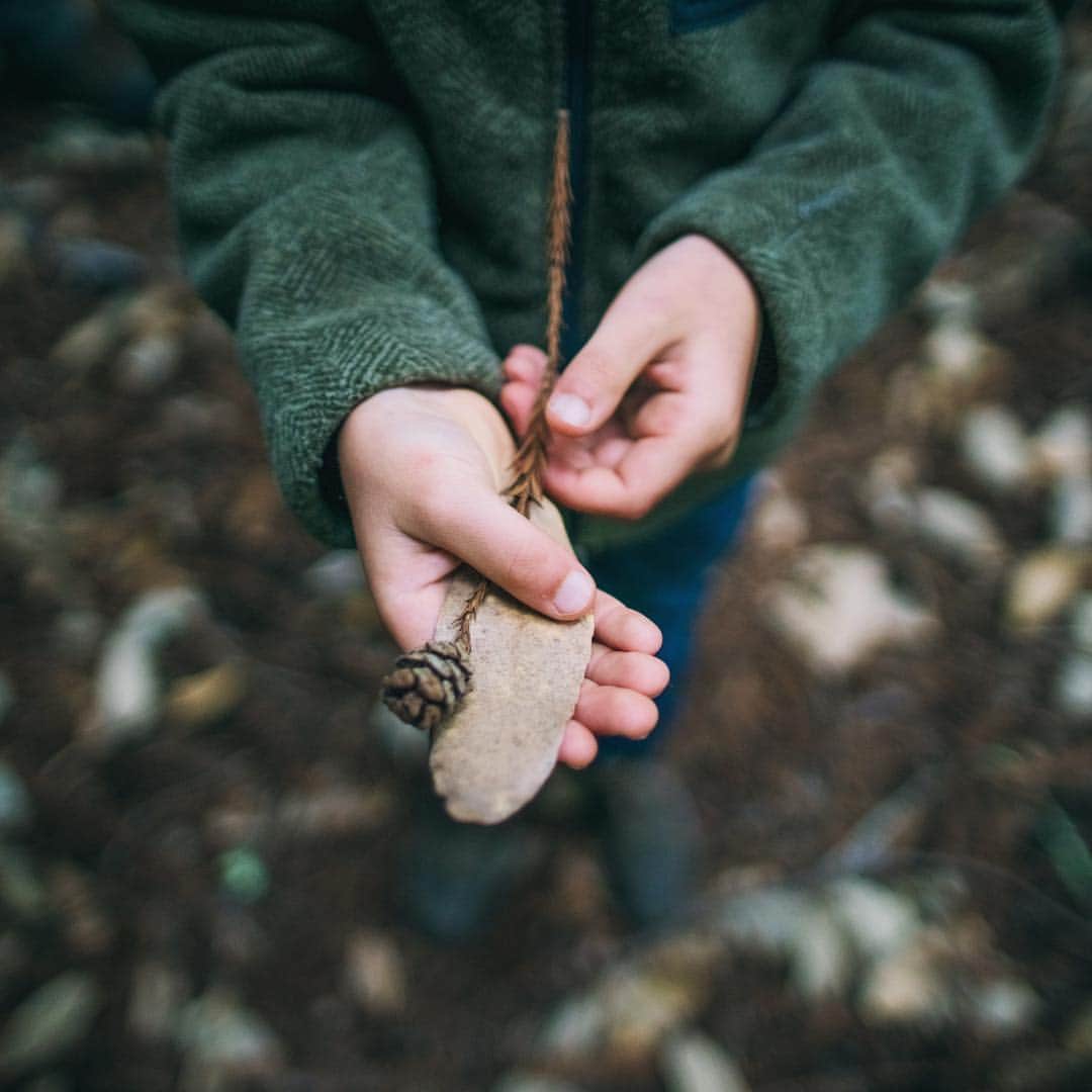 Cole Riseのインスタグラム：「forest things」