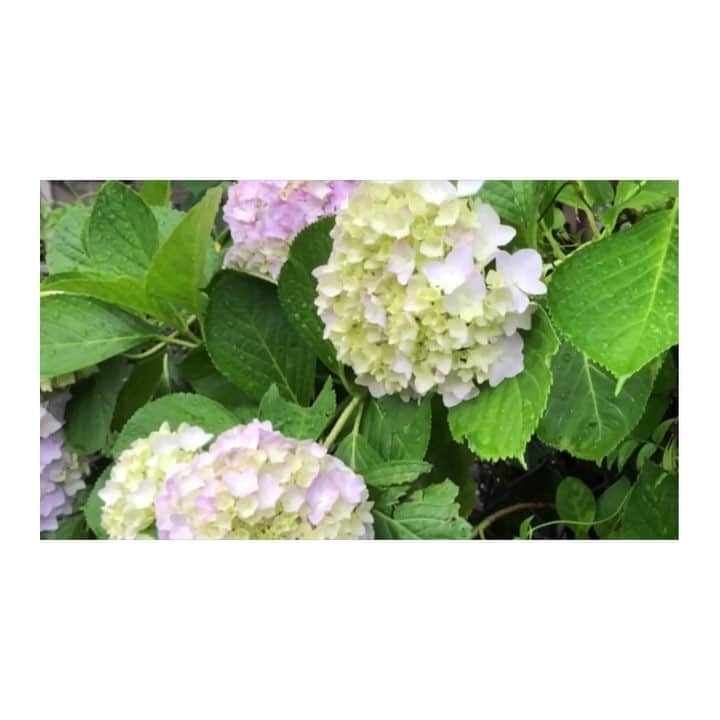 nqouのインスタグラム