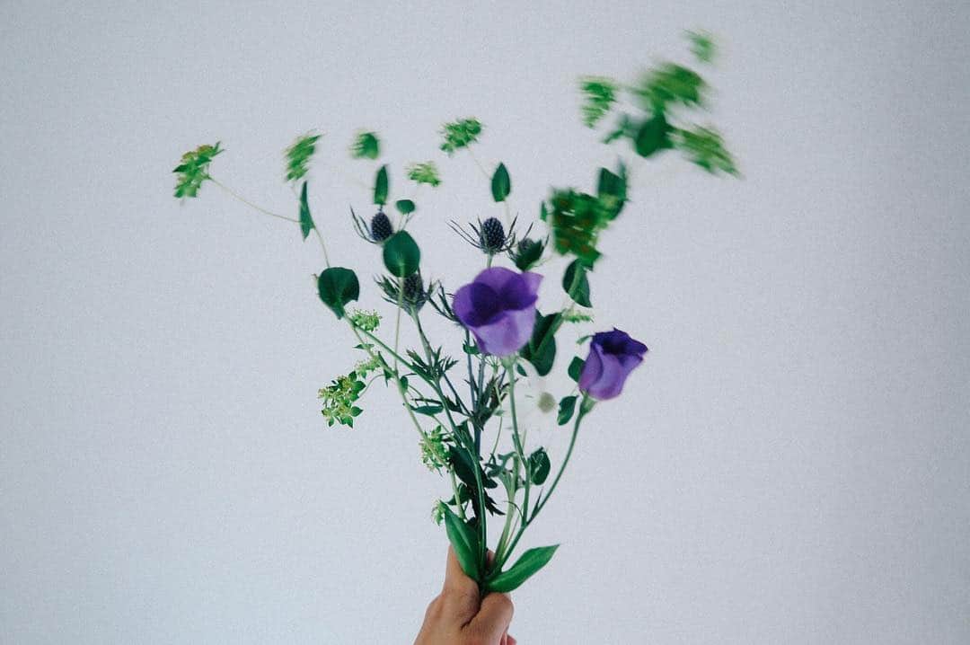 のインスタグラム：「初めてのお花屋さんで、金額わからなくていくらだろうってドキドキしてたけど、全部で500円だった。  うれしいなー♡」