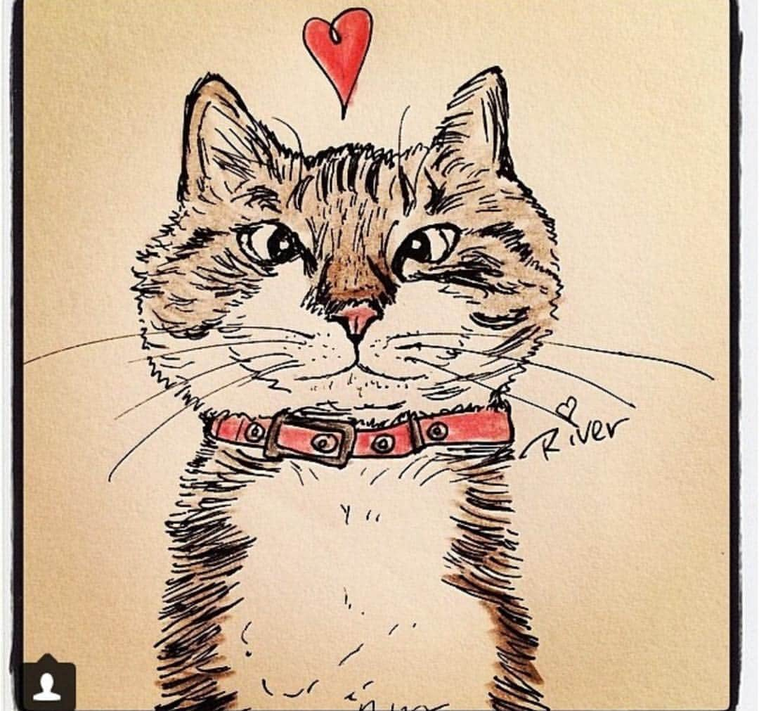 Spangles The Cross Eyed Kittyさんのインスタグラム写真 - (Spangles The Cross Eyed KittyInstagram)「#SpanglesFanArt」6月19日 15時42分 - spangles09