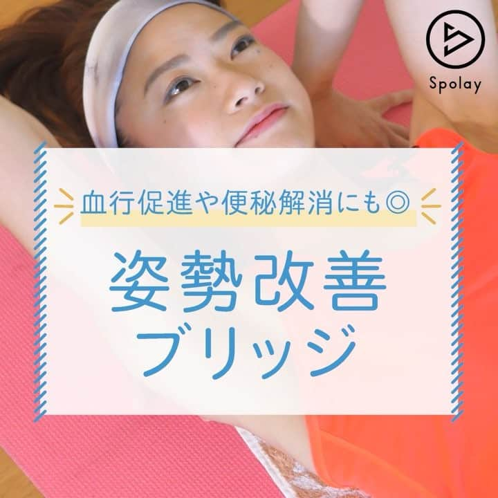 Spolayのインスタグラム