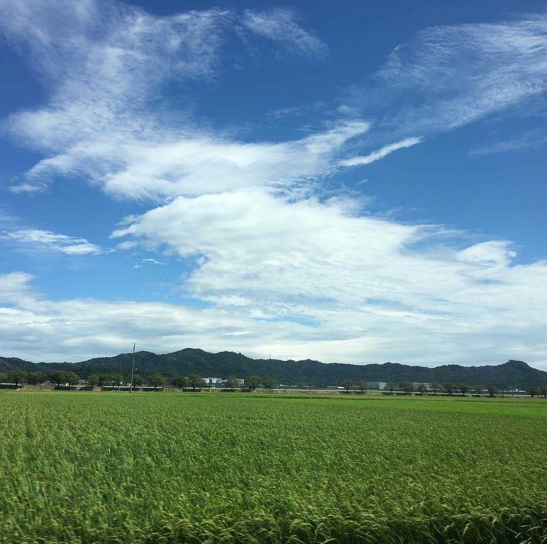 八木莉可子さんのインスタグラム写真 - (八木莉可子Instagram)「昨日、大きな地震が 関西地方でありました、。 皆さん、大丈夫だったでしょうか。 私も、その時間、通学するためバスに 乗っていたのですが、突然みんなの 携帯が鳴り響いたあとすぐに、バスが 大きく揺れ、とても動揺しました。  でも、私より怖くて辛い思いを された方はたくさん いらっしゃると思います。 被災された方々には、本当に 心からお見舞い申し上げます。 昨日から続く余震もあり、 体力的にも精神的にも今、 とても大変な状況だと思います…。 私でも、昨日の夜の余震で 飛び起きたくらいなのに、。 きっと、私よりも、もっともっと 不安な夜を過ごされたと思うので…。 なので、一刻も早く皆さんが安心して ゆっくり休めるような関西になるよう お祈りしてます。 そして、心に傷を負ったたくさんの人の その傷が少しでも、ほんの少しでも、 早く癒えますように。  まだまだ余震の恐れがあるので、 皆さん、くれぐれもお気をつけ下さい。 地震による被害が、 これ以上広がりませんように。」6月19日 21時14分 - yagirikaco_official