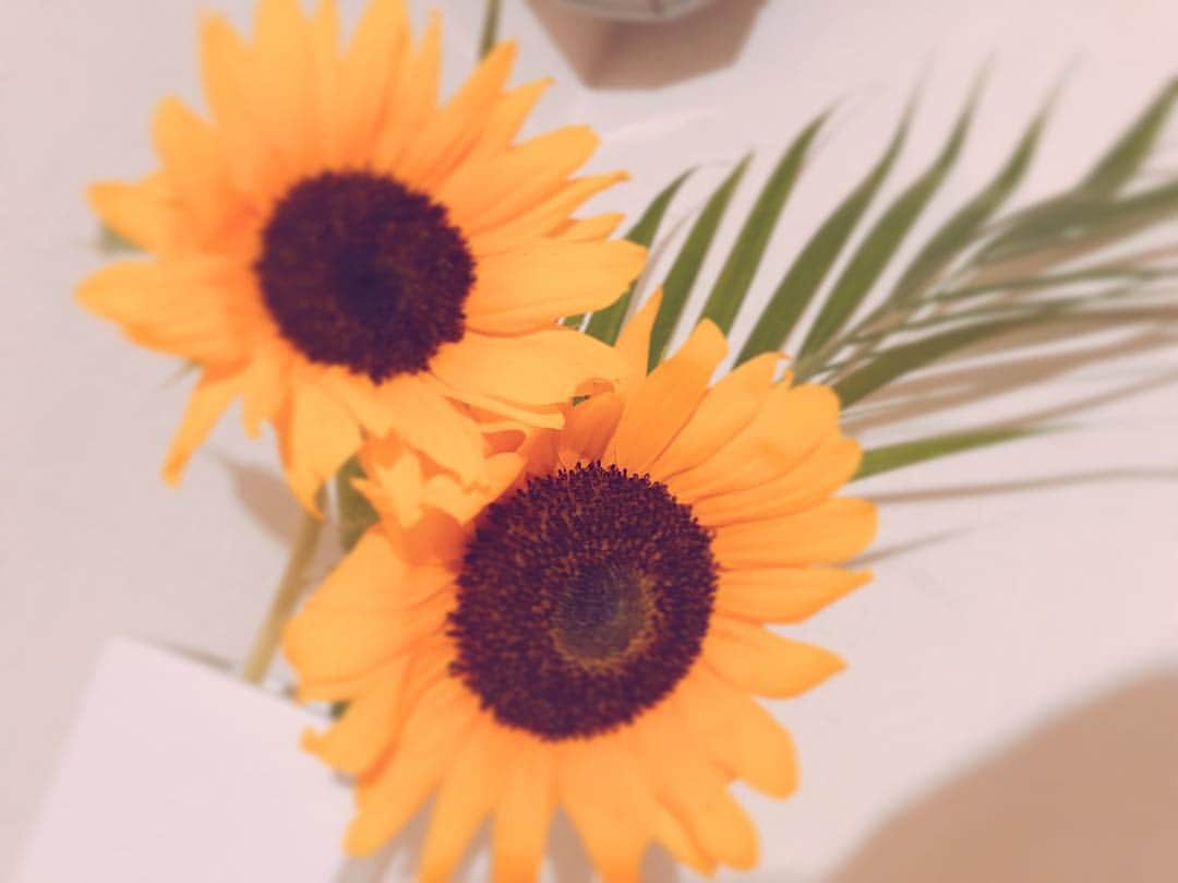三輪晴香さんのインスタグラム写真 - (三輪晴香Instagram)「おはようございます 今日も平和な一日でありますように。 #gm」6月20日 9時23分 - miwamiwa4010