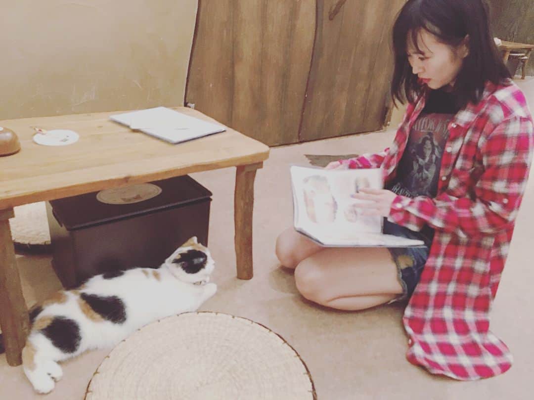 石田涼さんのインスタグラム写真 - (石田涼Instagram)「猫カフェ  #カバガ #猫 #猫カフェ #cat #cafe」6月20日 22時35分 - cgs_oryo