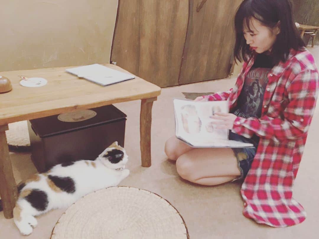 石田涼のインスタグラム：「猫カフェ  #カバガ #猫 #猫カフェ #cat #cafe」