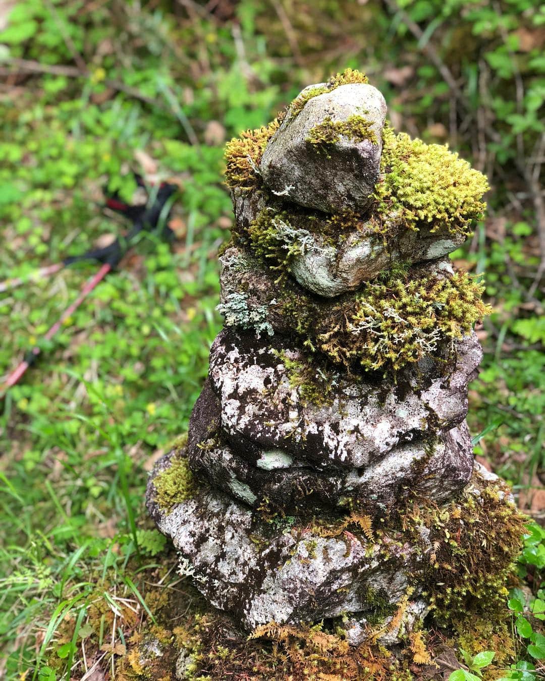 植田夢月のグルメインスタ