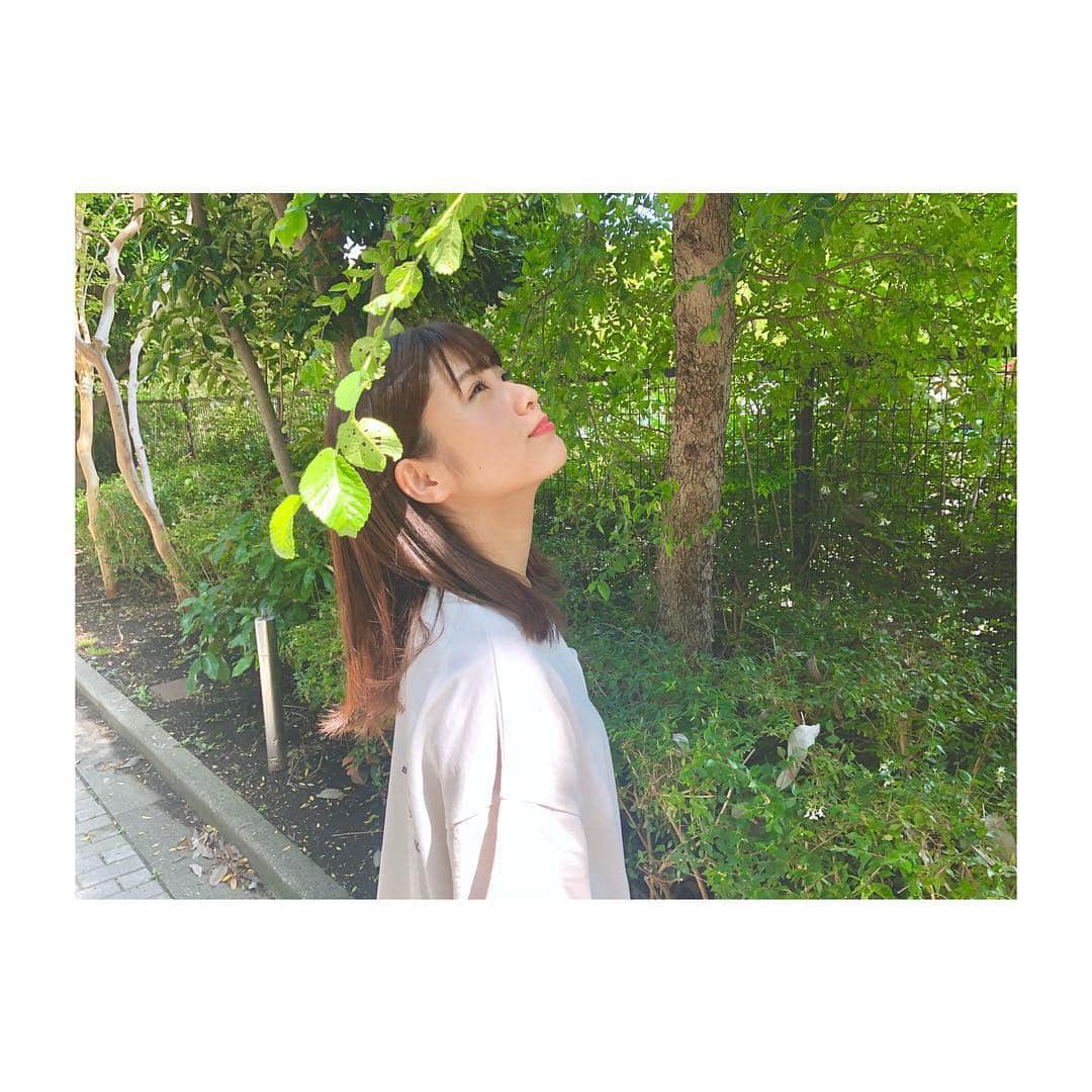 清水麻璃亜のインスタグラム：「* 私にできるお礼は 歌って踊ることだけ いつかは 夢を叶えて あなたに褒めて欲しいです * #AKB楽曲アリガトウの歌詞の一部 #選抜総選挙ありがとうございました #というよりも #いつも応援ありがとうございます #皆さんからの愛を改めて感じられて幸せ #ほんとに感謝と愛でいっぱいです #しっかりゆっくりお返しできたらなあ #歌詞書き出すの恥ずかしいww」