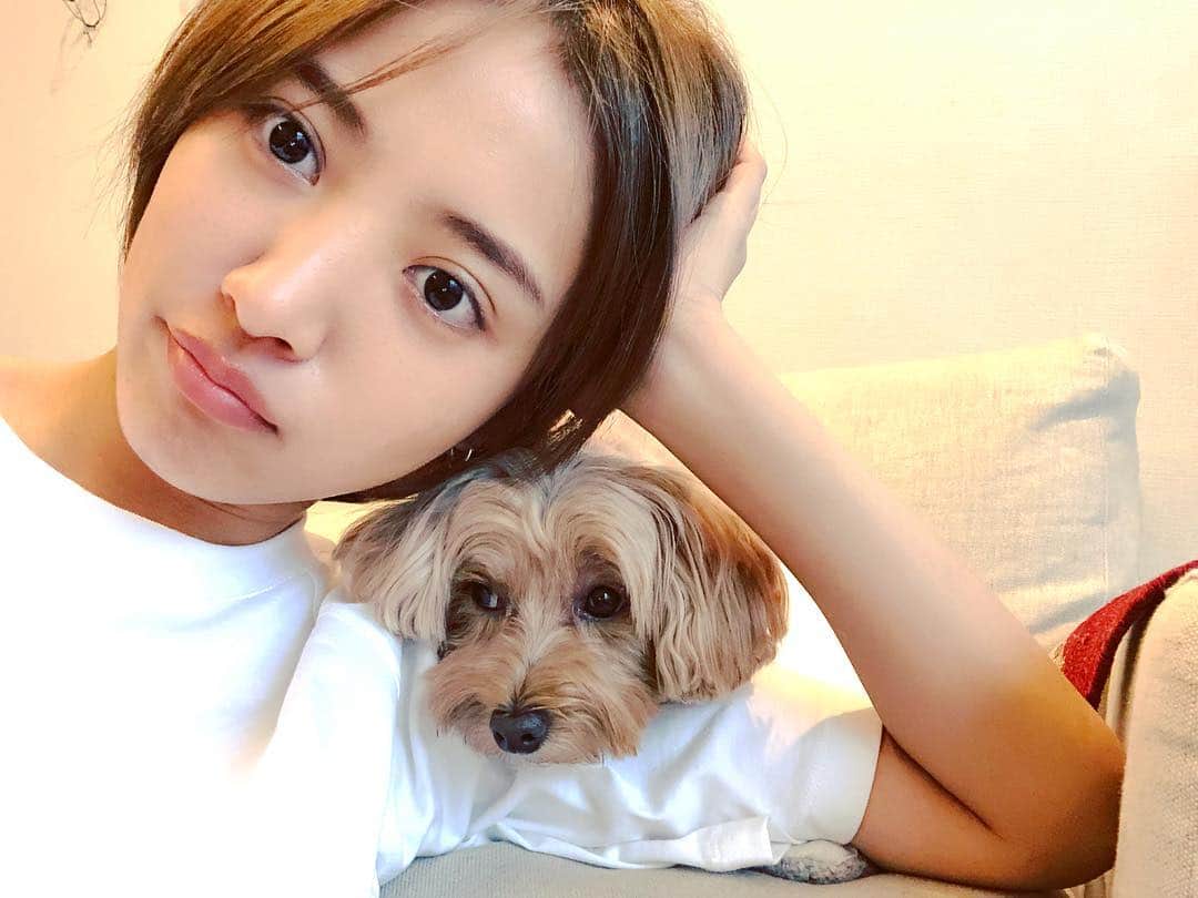 夏菜さんのインスタグラム写真 - (夏菜Instagram)「肩乗り犬。 #こむぎ#マルプー」6月20日 21時18分 - natsuna_official