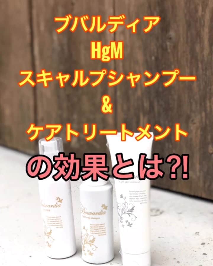 鶴谷和俊のインスタグラム：「ブバルディアスキャルプシャンプー&ケアトリートメントをご紹介✂️ ☆シャンプー ノンシリコンシャンプーです🙋‍♂️ 洗浄×殺菌×保湿と３つのこだわりがつまってます😍 ・アミノ酸系ノンシリコンシャンプーなのに 洗い上がりは『キシまない‼︎』かなり重要ですよね✨ ・銀やプラチナ配合なので頭皮を清潔にしてくれます✨ ・ハチミツ、ゴボウエキスも配合してるから 頭皮の『保湿』もバッチリ👌 ・泡もなめらかで優しい泡✨ ヘマチンが傷んだ髪の毛もケアしてくれます🙋‍♂️ 頭皮にも負担が少なく、清潔かつ健康な頭皮を維持できるシャンプーです✂️ ☆トリートメント トリートメントはホホバ種子油、アルガン シアバター、ラベンダー、ローズマリー、オリーブのオイル配合でしっかり『保湿』できます✨ カラーやパーマ、紫外線などのダメージを受けた髪の毛をしっかりケアしてくれます😋 仕上がりの感じは 根元ふんわりの毛先しっとりすぎないまとまりです😍 シャンプー、トリートメントを選ぶ参考にしてくださいね😋  購入はこちら💁‍♂️ hgm-eternal.com #ブバルディア #エイチジーエムエターナル #hgmスキャルプシャンプー #hgmケアトリートメント #hgmケアミルク #ヘアケア #ヘアケア製品 #シャンプー #トリートメント #洗い流さないトリートメント #集中ケア #ホームケア #美容 #アウトバス  #mizuki33」