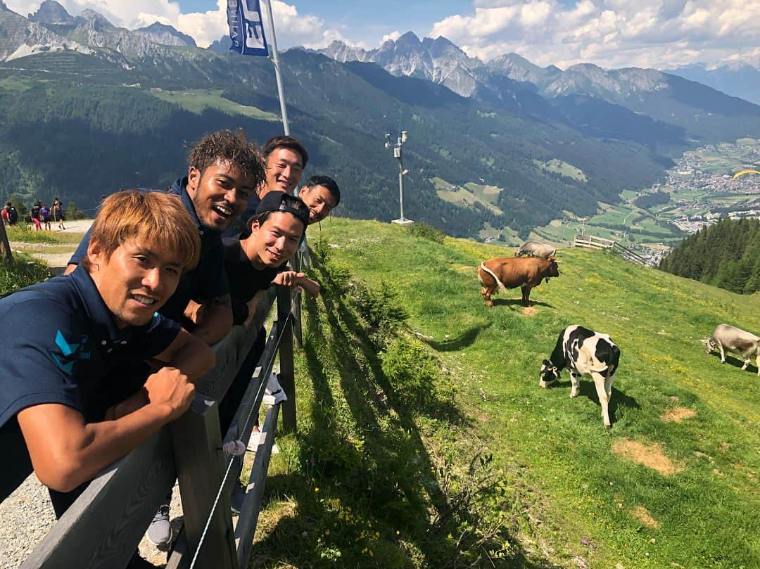 幸野志有人さんのインスタグラム写真 - (幸野志有人Instagram)「大自然🇦🇹🐮 #オーストリアにきてます #めちゃくちゃ遠かったな  #今日は #午前はめちゃくちゃきつい練習して #午後は自然にふれる #鈴木武蔵 #高所恐怖症オネエ #黒木聖仁 #前田悠佑 #初めて九州からでたらしくて興奮してた #牛かわいいなー」6月21日 23時09分 - shoot_kohno