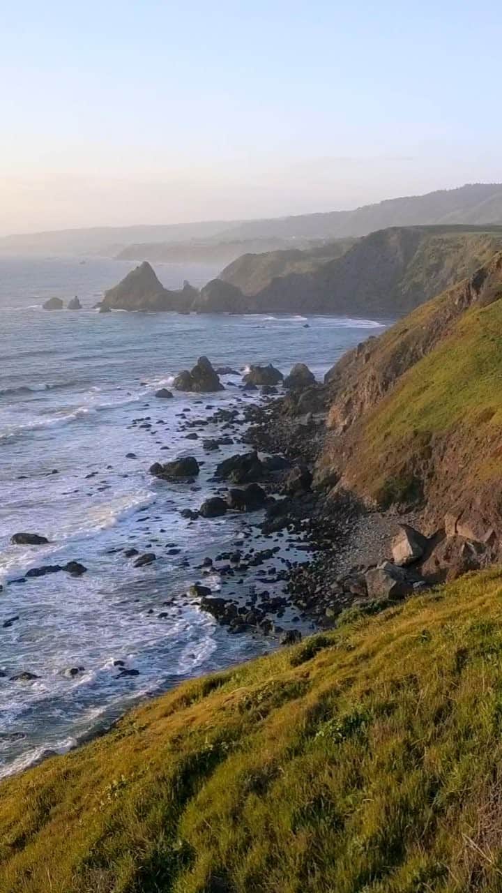 Cole Riseのインスタグラム：「Footage from the coastal forests near Santa Cruz and Point Arena, CA.」
